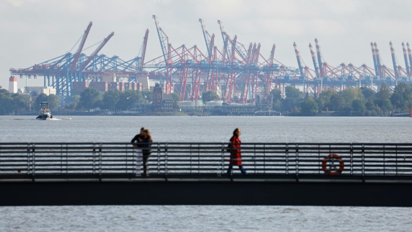 Blick auf den Hamburger Hafen
