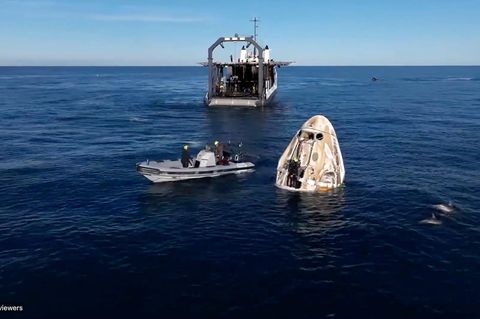 Dieses Bild aus einem von SpaceX veröffentlichten Video zeigt Delfine, die verspielt in der Nähe der SpaceX-Kapsel "Crew Dragon" schwimmen, nachdem diese vor der Küste Floridas gelandet ist