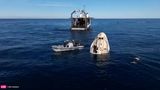 Dieses Bild aus einem von SpaceX veröffentlichten Video zeigt Delfine, die verspielt in der Nähe der SpaceX-Kapsel "Crew Dragon" schwimmen, nachdem diese vor der Küste Floridas gelandet ist