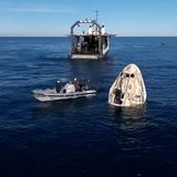 Dieses Bild aus einem von SpaceX veröffentlichten Video zeigt Delfine, die verspielt in der Nähe der SpaceX-Kapsel "Crew Dragon" schwimmen, nachdem diese vor der Küste Floridas gelandet ist