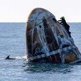 Ein Mitglied des Support-Teams ist bei der Arbeit an der SpaceX-Kapsel "Crew Dragon" zu sehen, kurz nachdem sie gelandet ist. Währenddessen gleitet ein Delfin durch das Wasser vor der Küste von Tallahassee