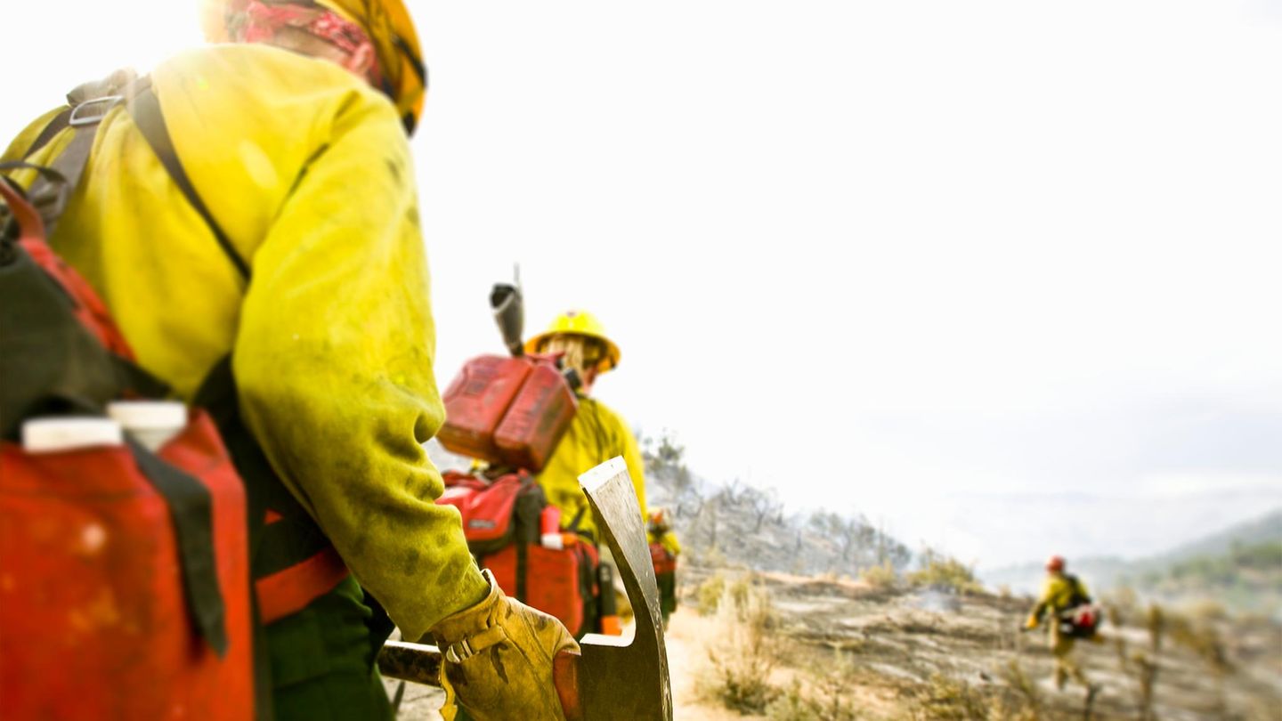 Zivilschutz Feuerwehrmänner löschen einen Waldbrand (Symbolbild Zivilschutz)