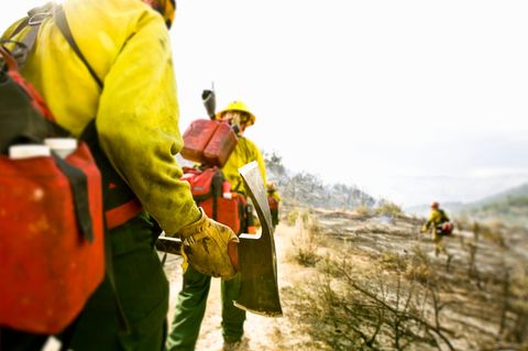 Feuerwehrmänner löschen einen Waldbrand (Symbolbild Zivilschutz)