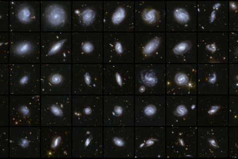 Von Euclid aufgespürte Galaxien