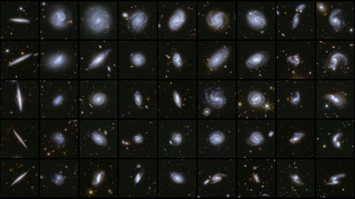 Von Euclid aufgespürte Galaxien