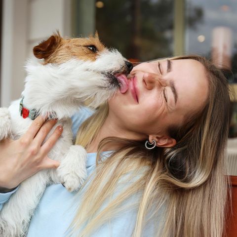 Glück: Hund leckt Frau ab