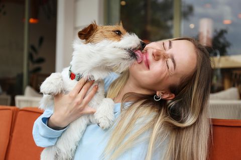 Glück: Hund leckt Frau ab