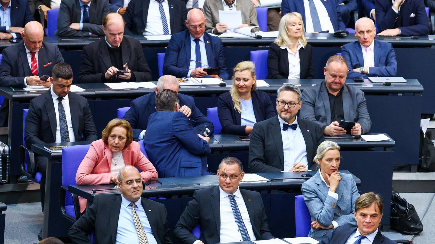 The AfD in the new Bundestag: How powerful is the faction?