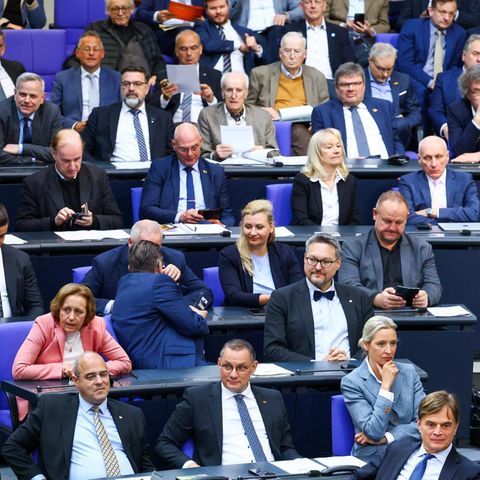 Die AfD-Fraktion im Bundestag