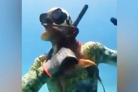 Ein Kraken schlingt seine Tentakel um den Hals eines Tauchers