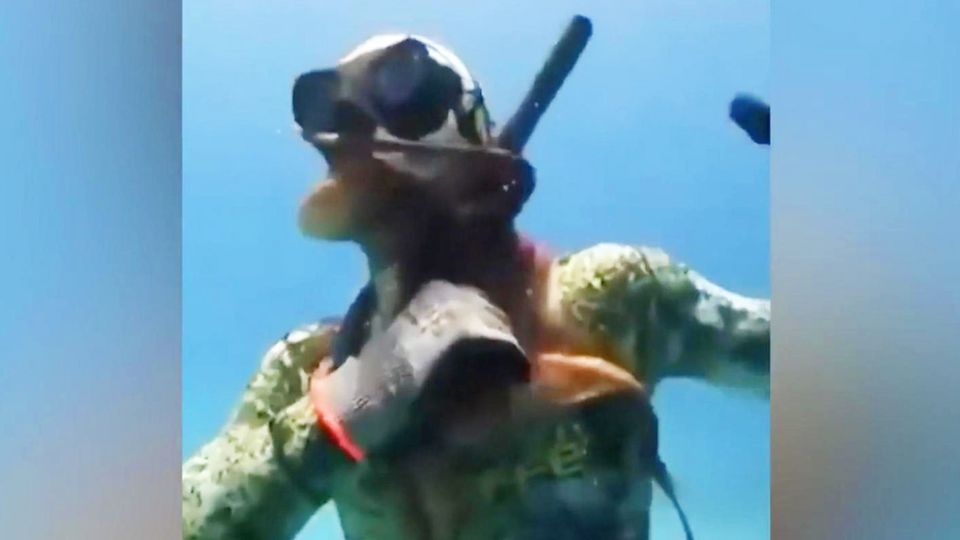 Taucher stört Zuhause von Krake – und bekommt prompt eine Reaktion Ein Kraken schlingt seine Tentakel um den Hals eines Tauchers