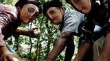 Versteckt hinter traditionellen indigenen Tanzmasken üben diese Kinder das Schmeißen von Steinen