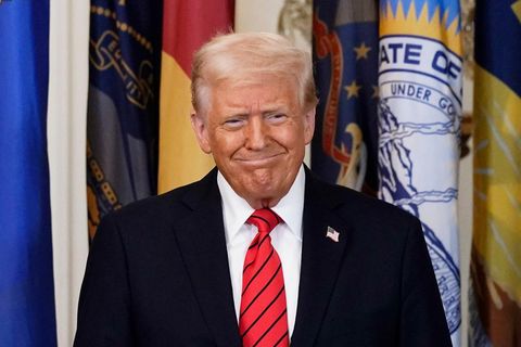 Donald Trump vor Fahnen