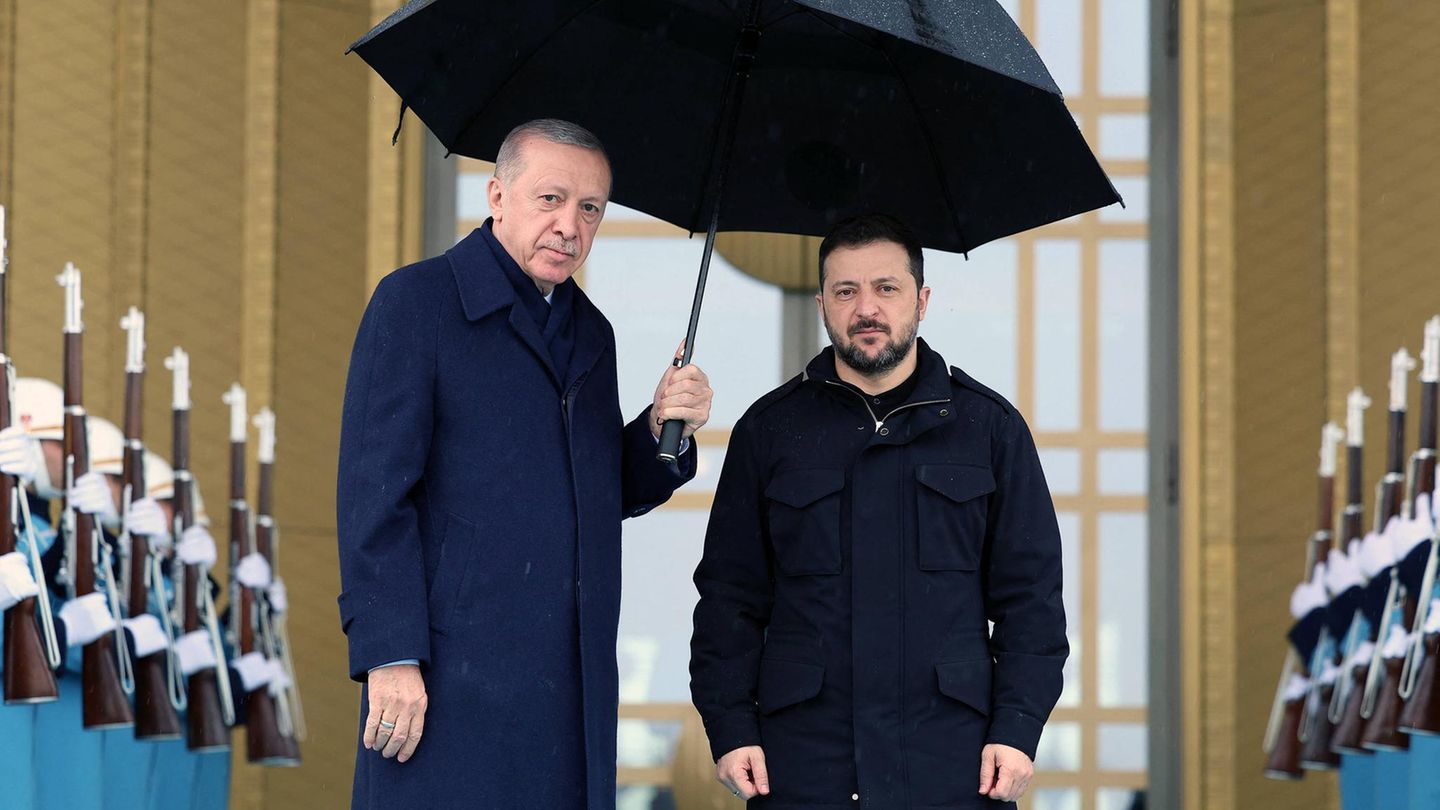Turkey and the Ukraine conflict: “Ankara has an important role”