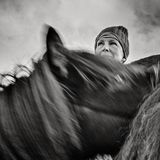 Die Schur der Schafe erfolgt in Island traditionell zwei Mal jährlich. Besonders geschätzt ist die Wolle der Herbstschur zwischen Oktober und November: Sie ist sehr rein, da die Tiere den Sommer über im Freien verbracht haben, fern von Stallstaub und Schmutz