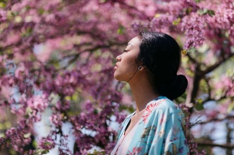 In Japan genießt eine junge Frau die wunderschönen Kirschblüten