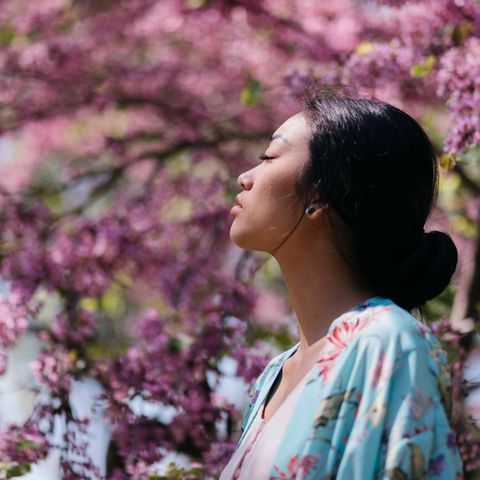 In Japan genießt eine junge Frau die wunderschönen Kirschblüten