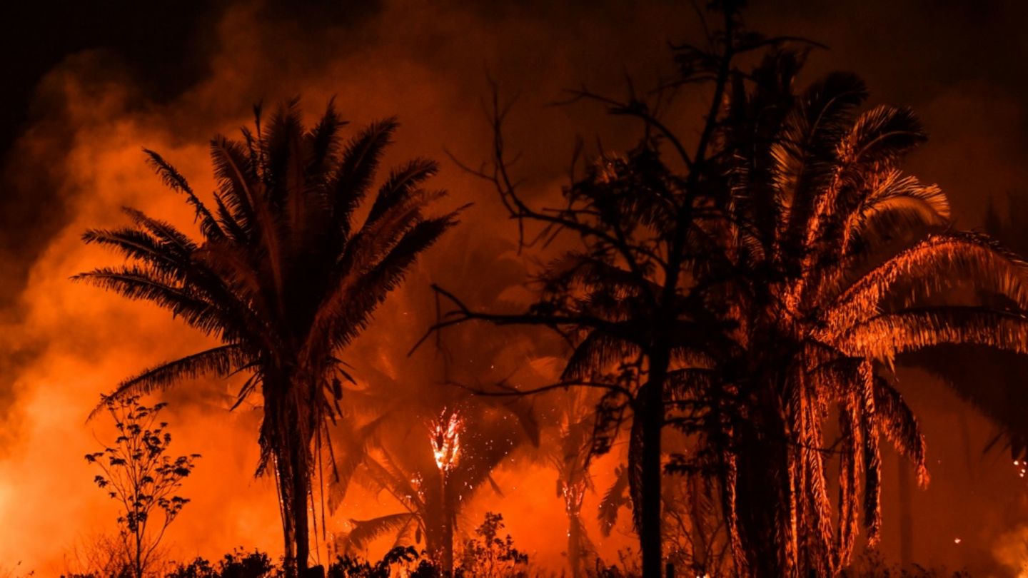 Waldbrände im brasilianischen Amazonas-Gebiet