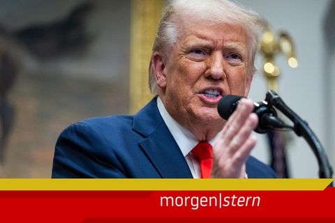 Morgenstern Donald Trump