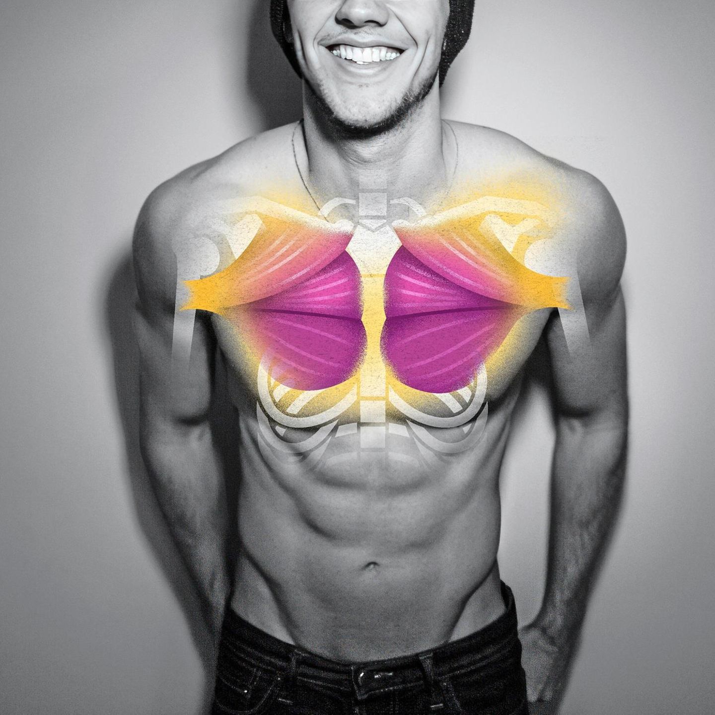 männlicher Oberkörper mit illustrierten Muskeln