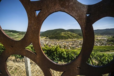 Weinanbau in Rheinland-Pfalz