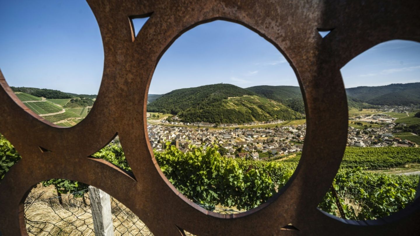 Weinanbau in Rheinland-Pfalz