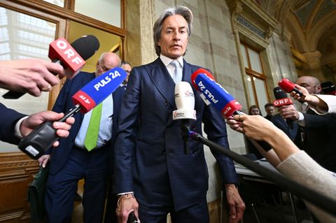 Ex-Finanzminister Grasser