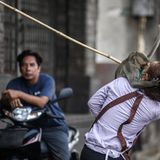Fotografie: Ein Langschwanzmakake greift gegenüber dem Phra Prang Sam Yot-Tempel einen Ladenangestellten an