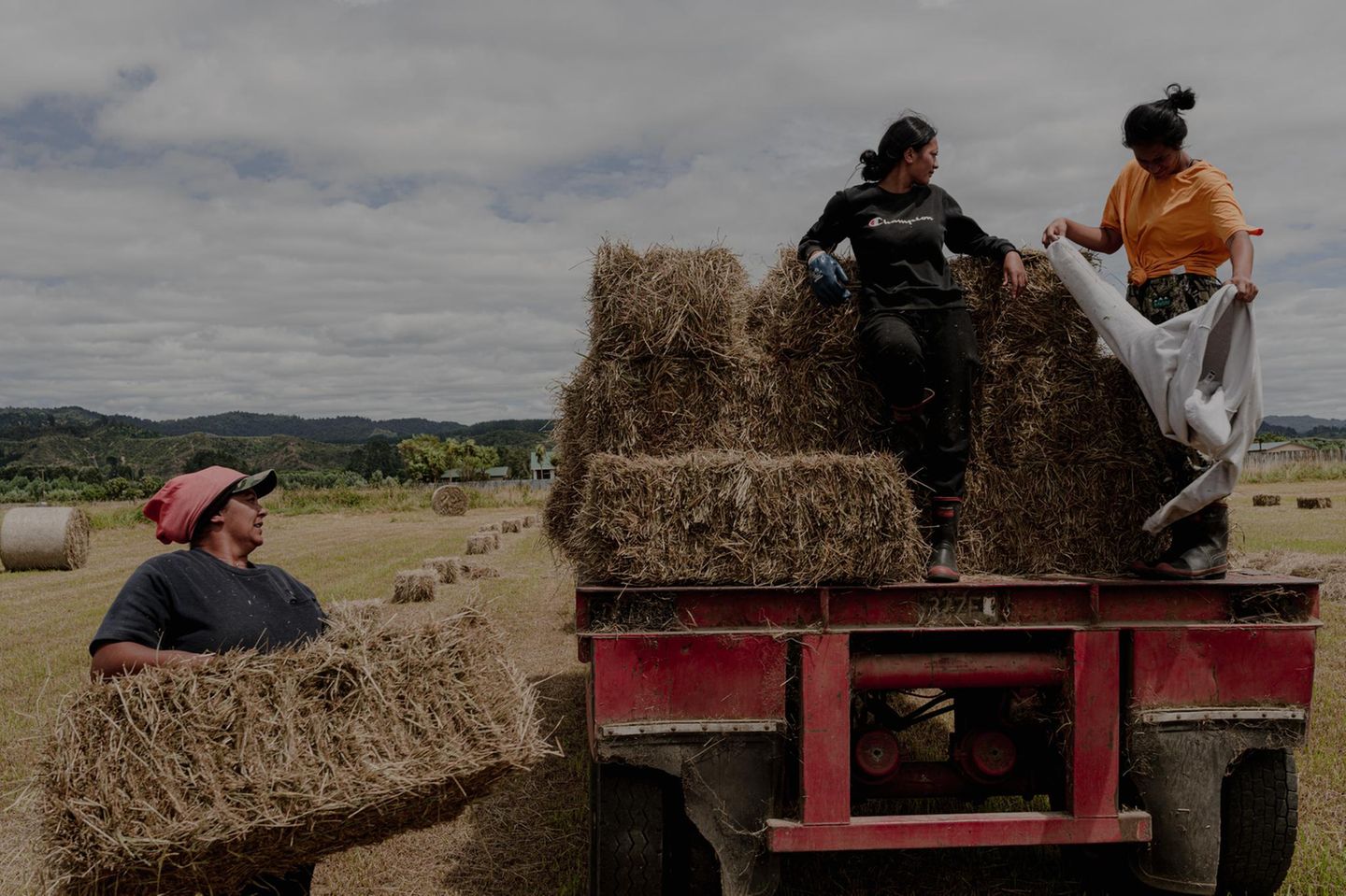 Neuseelands Indigene: Lehrlinge einer örtlichen Schule erlernen grundlegende landwirtschaftliche Fertigkeiten auf dem Tataiwhetu Trust, einem ökologischen Milchviehbetrieb, der von sechs Familien gemeinsam betrieben wird. Ruatoki, Neuseeland, 14. Januar 2022 Lehrlinge einer örtlichen Schule erlernen grundlegende landwirtschaftliche Fertigkeiten auf dem Tataiwhetu Trust, einem ökologischen Milchviehbetrieb, der von sechs Familien gemeinsam betrieben wird. Ruatoki, Neuseeland, 14. Januar 2022