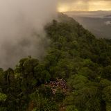Rastplatz im Dickicht: In Las Banderas, einem Ort an der Grenze zwischen Kolumbien und Panama, sammeln sich erschöpfte Geflüchtete