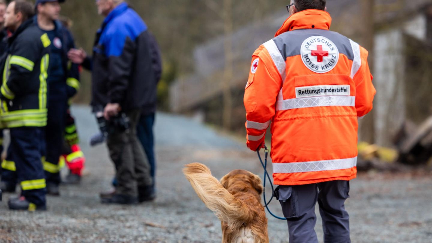 Ein Mann mit Rettungsjacke in Weilburg, von hinten aufgenommen, läuft mit einem Spürhund.