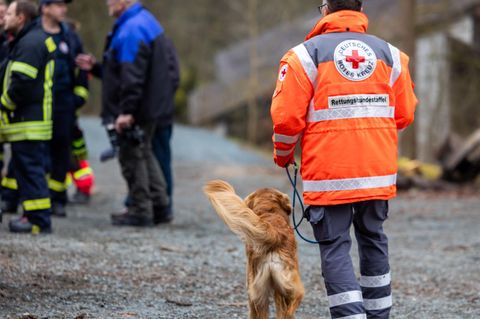 Ein Mann mit Rettungsjacke in Weilburg, von hinten aufgenommen, läuft mit einem Spürhund.