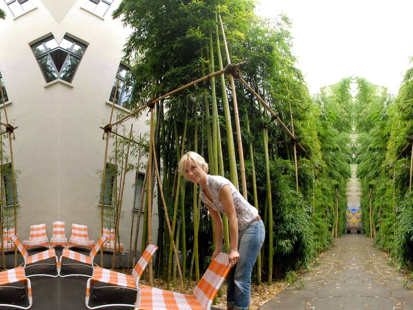 Bambushecken darf (hoch) bleiben: BGH urteilt in Nachbarschaftsstreit |  STERN.de