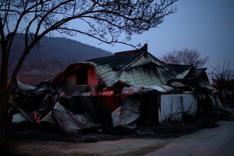 Von Waldbrand erfasstes Haus in Cheongsong