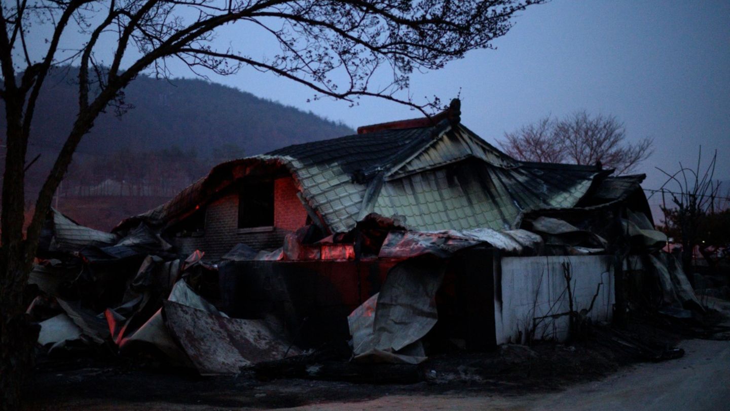 Von Waldbrand erfasstes Haus in Cheongsong