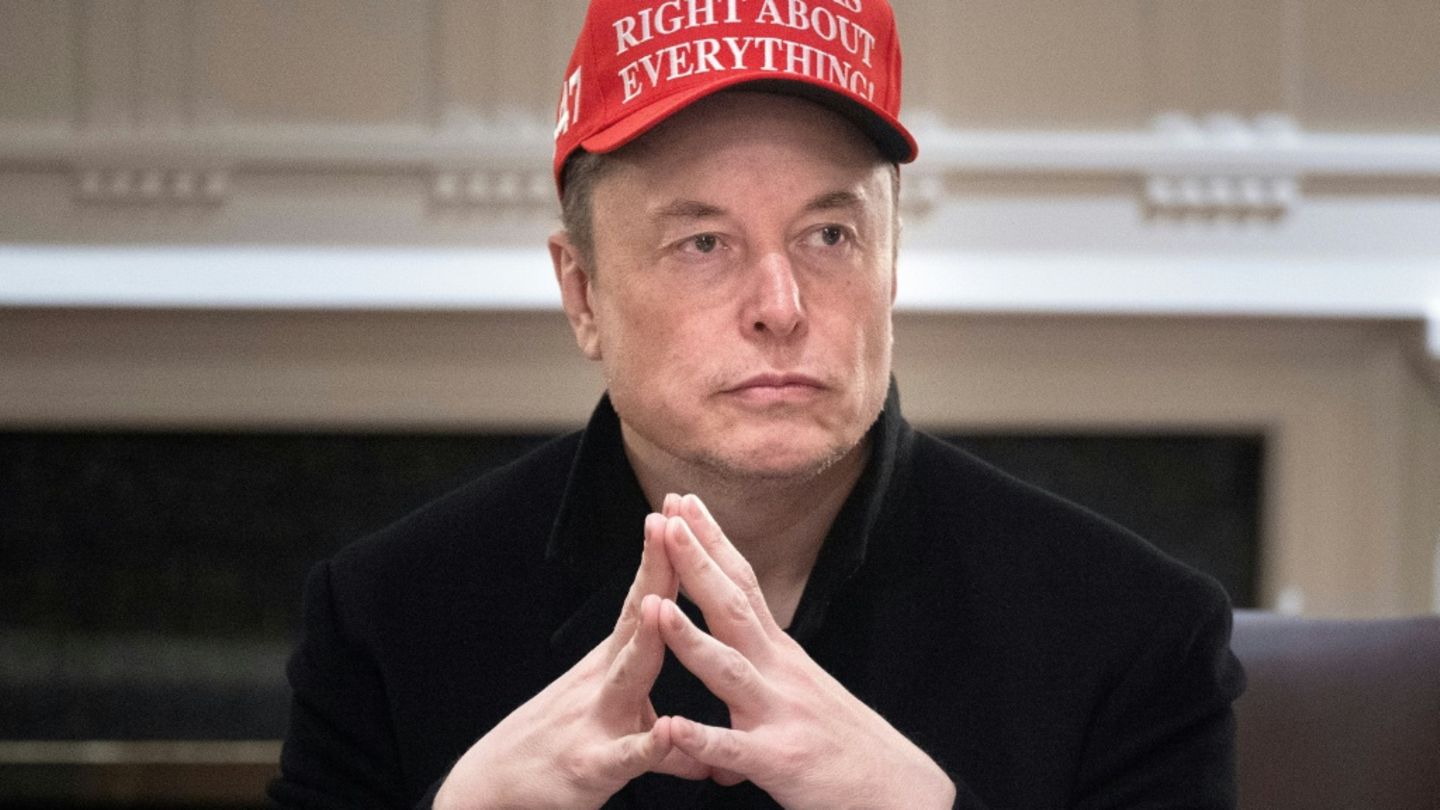 Elon Musk am 24. März bei einer Sitzung im Weißen Haus