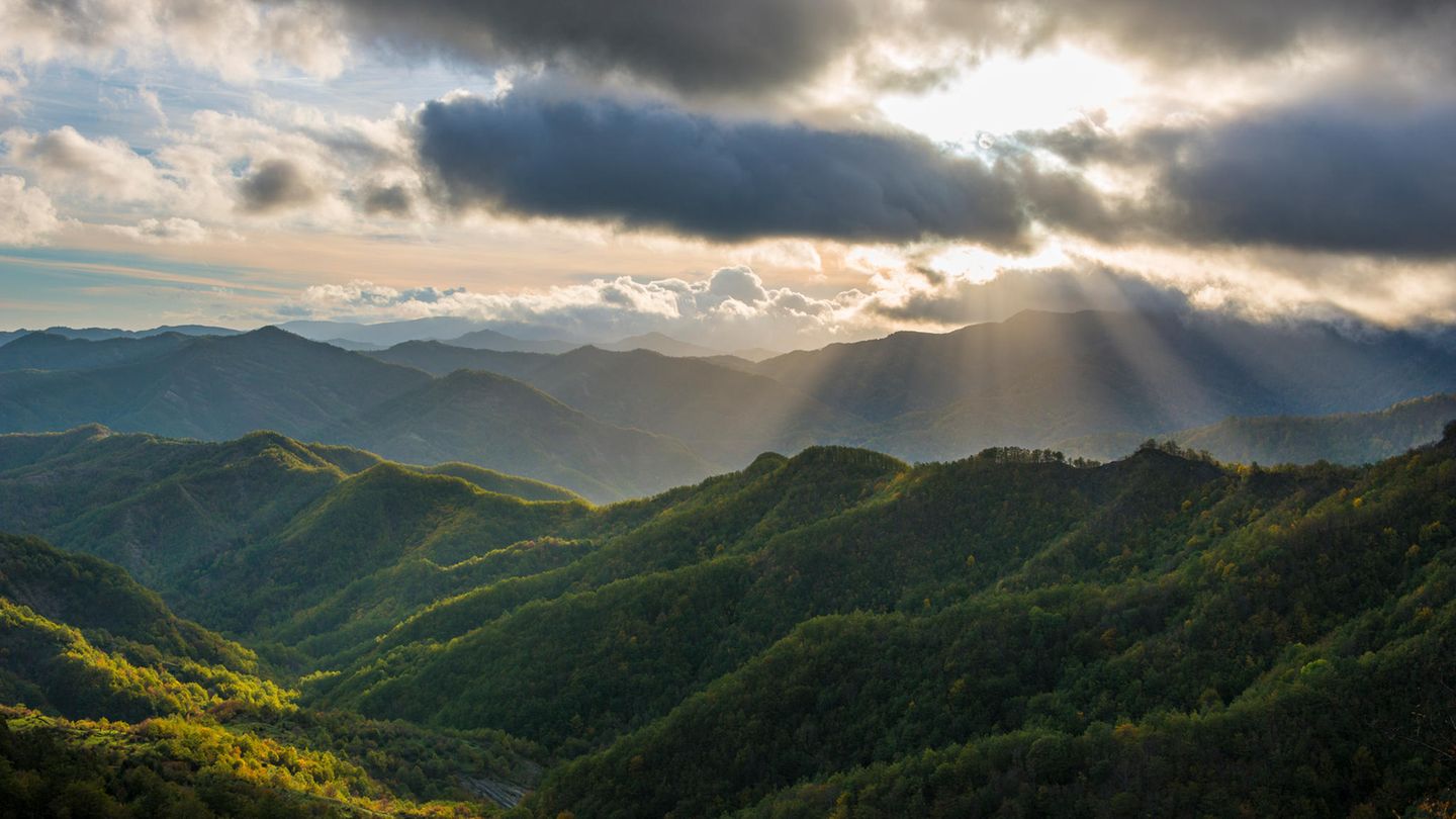 Nationalpark Foreste Casentinesi Der Nationalpark gehört zum Gebirgszug des Apennin und liegt auf der Grenze zwischen der Toskana und der Romagna. Der Park bietet sowohl Wanderern als auch Radfahrern und Wassersportlern besondere Erlebnisse: In den uralten Wäldern sind Hirsche und Wölfe zu Hause, der Wasserfall von Acquacheta stürzt sich 70 Meter durch die Felsen herab, und der Ridracoli-See lädt zu Kanutouren ein.