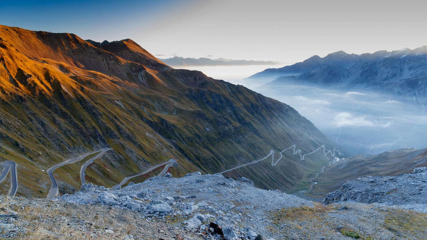 Nationalpark Stilfserjoch Eines der ältesten und zugleich größten Schutzgebiete im Alpenraum ist der Nationalpark Stilfserjoch im Herzen des Hochgebirges. Das Areal umfasst die typischen, von Gletschern und Flüssen geformten Täler rund um das imposante Ortler-Cevedale-Massiv. Geprägt wird es durch imposante Berggipfel, üppige Wälder, Bergwiesen und Wildbäche.