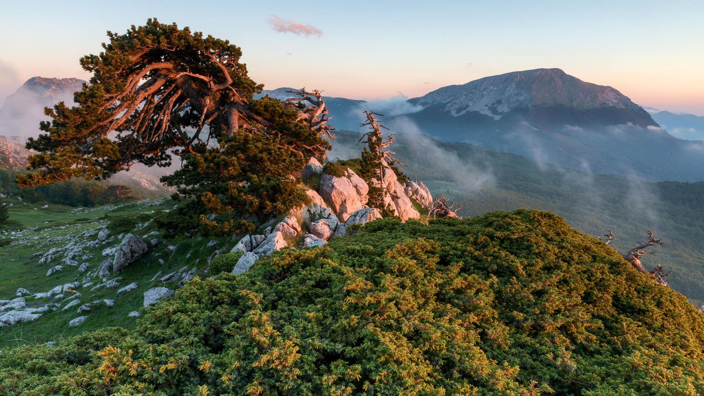 Nationalpark Pollino Nationalpark Pollino