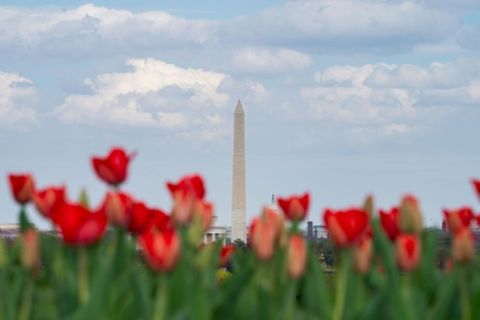 Frühlingsstimmung in Washington