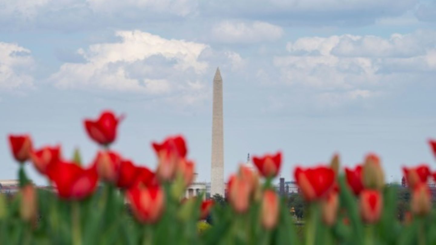 Frühlingsstimmung in Washington