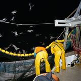 Zwei Fischer beim Einholen der Netze vor der Küste von Newlyn