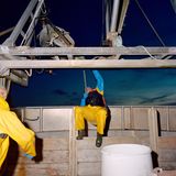 Gesunde Haltung: Das Einholen der Netze ist auf See ein echter Knochenjob