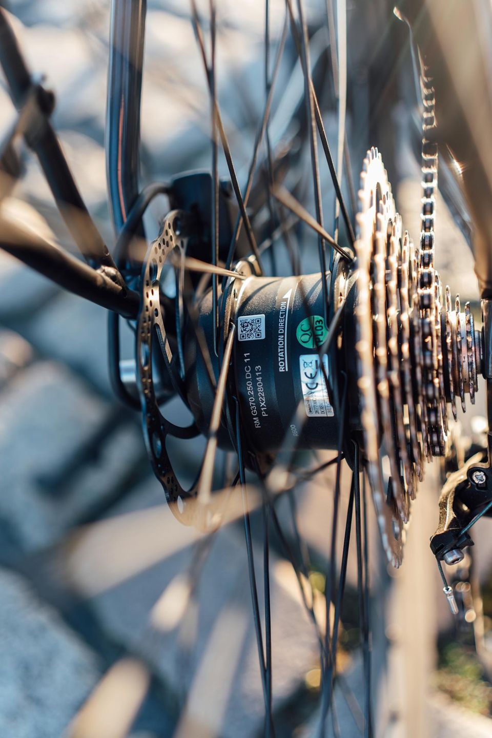 Hecknabenmotor vom Urban Evo 2 der Marke Bulls