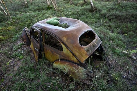 Schrottauto in Wald in Niedersachsen