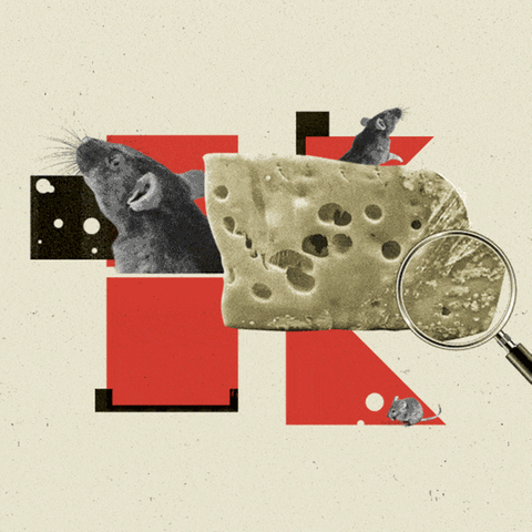 Kaufland: Animation mit Käse und Mäusen