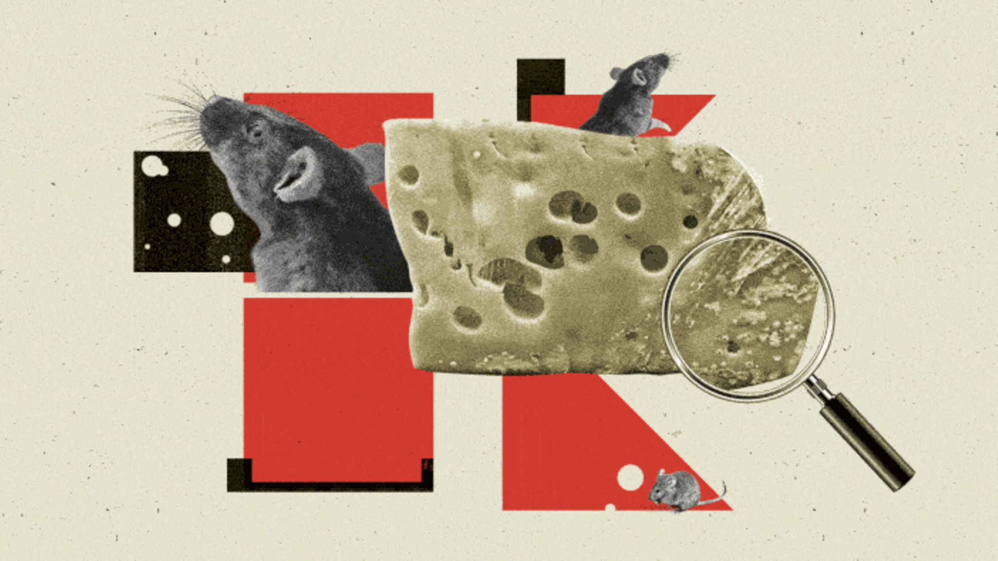 Kaufland Kaufland: Animation mit Käse und Mäusen