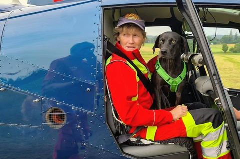 Hundeführerin Anke Boysen mit Rettungshündin Macy im Flugzeug