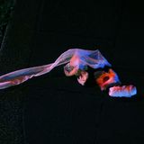 Die Gewaltkriminalität nahm hingegen zu – um 1,5 Prozent. Mit bundesweit mehr als 217.000 Gewalttaten erreichte sie im vergangenen Jahr den höchsten Stand seit 2007. Immerhin: Ganz so steil wie im Vorjahr, als 8,6 Prozent mehr Gewalttaten registriert worden waren als 2022, zeigte die Kurve 2024 nicht mehr nach oben