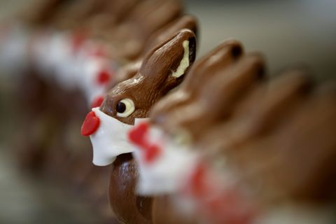 Schokohasen